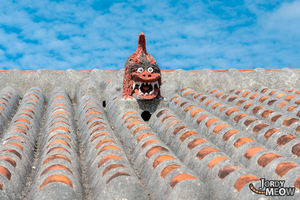 roof-shisa-1.jpg